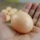 Искусственное яйцо-подклад для кур, 1 шт., коричневое