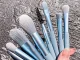 Professional 8-Piece Makeup Brush Set with Cosmetic Case