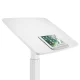 Maclean MC-892W Ergonomic Height Adjustable Desk (White)