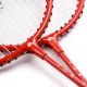 METEOR MOTION 2 Portable Badminton Set with Storage Bag
