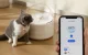 Catlink Pure Smart Pet Water Fountain