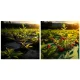 Plonos Heavy Duty Weed Barrier Fabric 1.6x100m 90gsm with 100 Stakes, Black Green