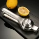 Stainless Steel Citrus Squeezer, Silver