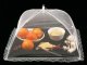 Mosquito net cover for food barbecue fruit
