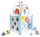 Ecotoys 1020 Wooden Educational Cube with Sorter and Blocks