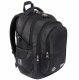 Shiny Snake 16 inch 4 Compartment Youth School Backpack