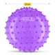 4Fizjo 1870 Sensory Rehabilitation Ball with Spikes, 20 cm, Purple