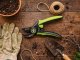 Heavy-Duty Garden Pruning Shears for Branches DIVO, Green