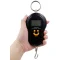 Digital Hanging Scale for Fishing and Luggage with LCD Display 50kg