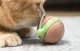 Cheerble Wicked Snail Interactive Cat Toy, Brown