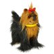Interactive Yorkie Toy Dog that Walks, Barks, and Reacts to Touch