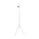 Maclean MC-181 W TV Floor Stand (27-55\", 60kg, VESA 200x200)