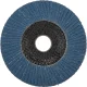 Makita Flap Disc 125mm Z80 D-63806