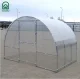 Greenhouse KLASIKA EASY 3x2 m (6 m²), 4 mm polycarbonate