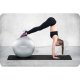 Neo-Sport 65 cm Silver Exercise Ball NS-951 - Fitness Stability