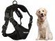 Dog Harness with Leash, Reflective, Size XL, Black