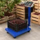 Electronic Platform Scale 100kg LCD Blue