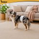 Purlov Disposable Dog Diapers M-L (12 pcs)