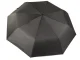 Automatic Folding Umbrella Black Unisex