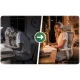 Sofotel Nicea Ergonomic Office Chair