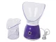 Facial Steamer and Inhaler Purple