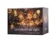 Ikonka LED String Lights with Decorative Bulbs, 3m, 50 LED, Warm White