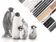 Professional Sketching and Drawing Set 32 in 1, Black