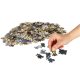 CASTORLAND Jigsaw Puzzle \"Lion King\" for Children, 1000 pieces