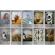 Fujifilm instax mini Instant Film Stone Grey (10 Shots)