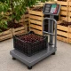 Electronic Platform Scale with Backrest 100kg LCD, Grey