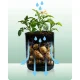 Plonos 496400 Vegetable Grow Bag with Window, 43.3L