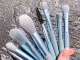 Professional 8-Piece Makeup Brush Set with Cosmetic Case