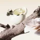 Dudao U20 TWS Wireless Bluetooth Headphones, White