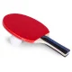 Table Tennis Set (2 Paddles + 3 Balls)