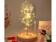 Eternal Rose in Glass Dome with LED Light and Wooden Base