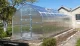 Greenhouse KLASIKA STANDART 25, 2.5x10m with Foundation and 6mm Polycarbonate