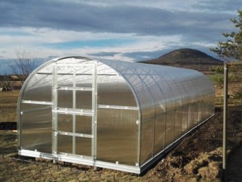 Greenhouse Klasika 24 (3X8M) With Bases And 4Mm Polycarbonate; 4779037490233