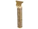 Professional Cordless Hair and Beard Trimmer SK-8001, Gold