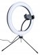 LED Ring Light Lamp Set with Stand 2.1m, Tripod and Phone Holder for Photo Video Tiktok Vlogging