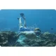 Bestway 25020 Snorkeling Set (Mask, Snorkel, Fins 41-46), Black