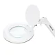 Elegante 6031 Table-Mounted Cosmetic Magnifying Lamp 3D