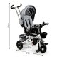 Ecotoys Tricycle with 360° Swivel Seat and Canopy, Grey
