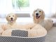 Soft Plush Pet Bed for Dogs and Cats, 60x50 cm