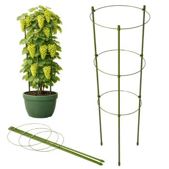 Plant Support Ring 120cm with 3 Hoops DIVODV