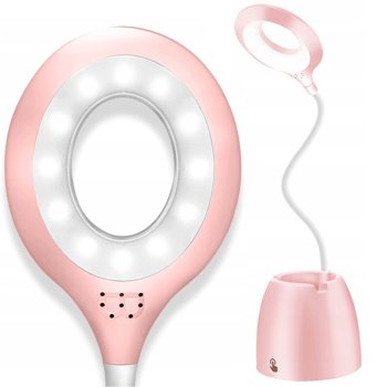 LED Desk Lamp with Organizer and Pen Holder, Pink