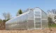 Greenhouse KLASIKA STANDART 20, 2.5x8m with Foundation and 4mm Polycarbonate