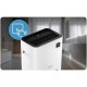 Berdsen 353400 BD-534 Compressor Dehumidifier, 20L/24h, White