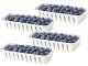 Divided Food Storage Container with Drainer and Handle, Clear