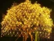 LED Net Light Curtain 100 LED 1x2m Warm White