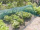 Anti-hail net Tenax DEFENDER 2x10m, green